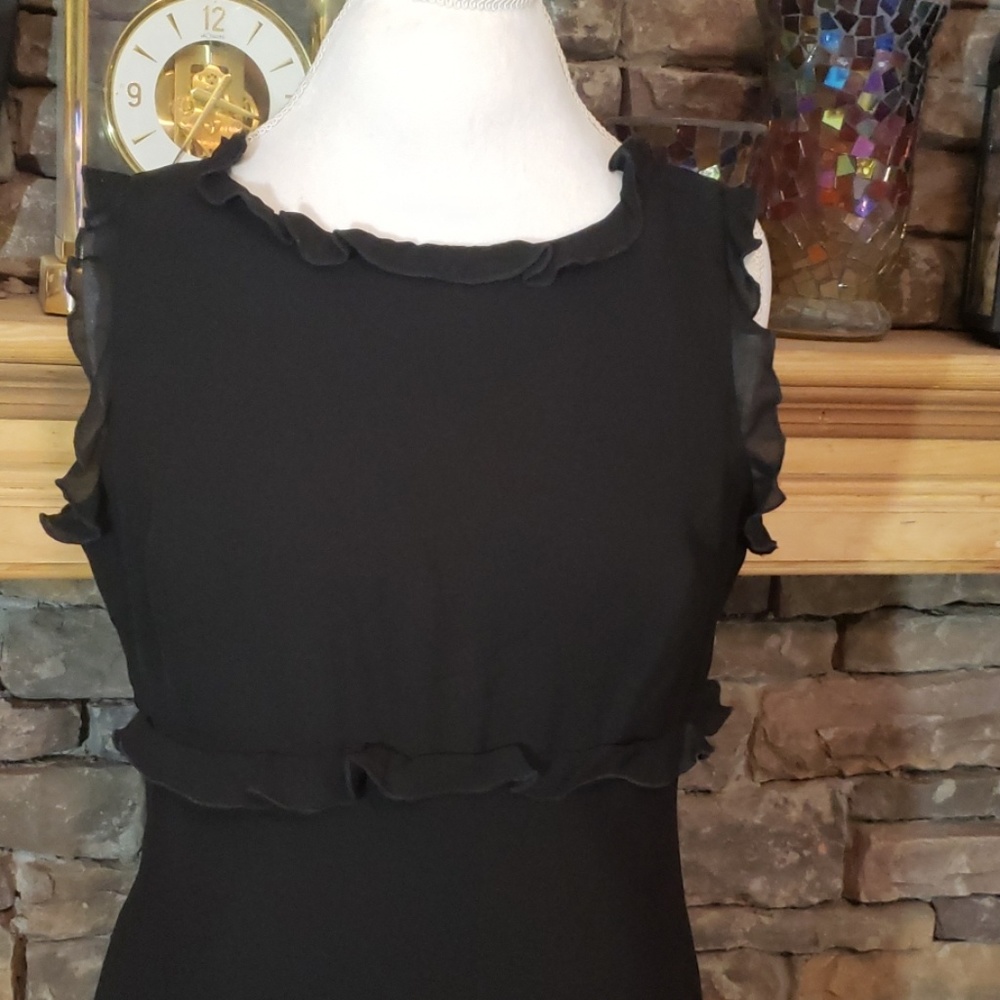 SALE⚡️ADRIANNA PAPELL SILK RUFFLE  SZ 10/12 READ - Picture 7 of 13